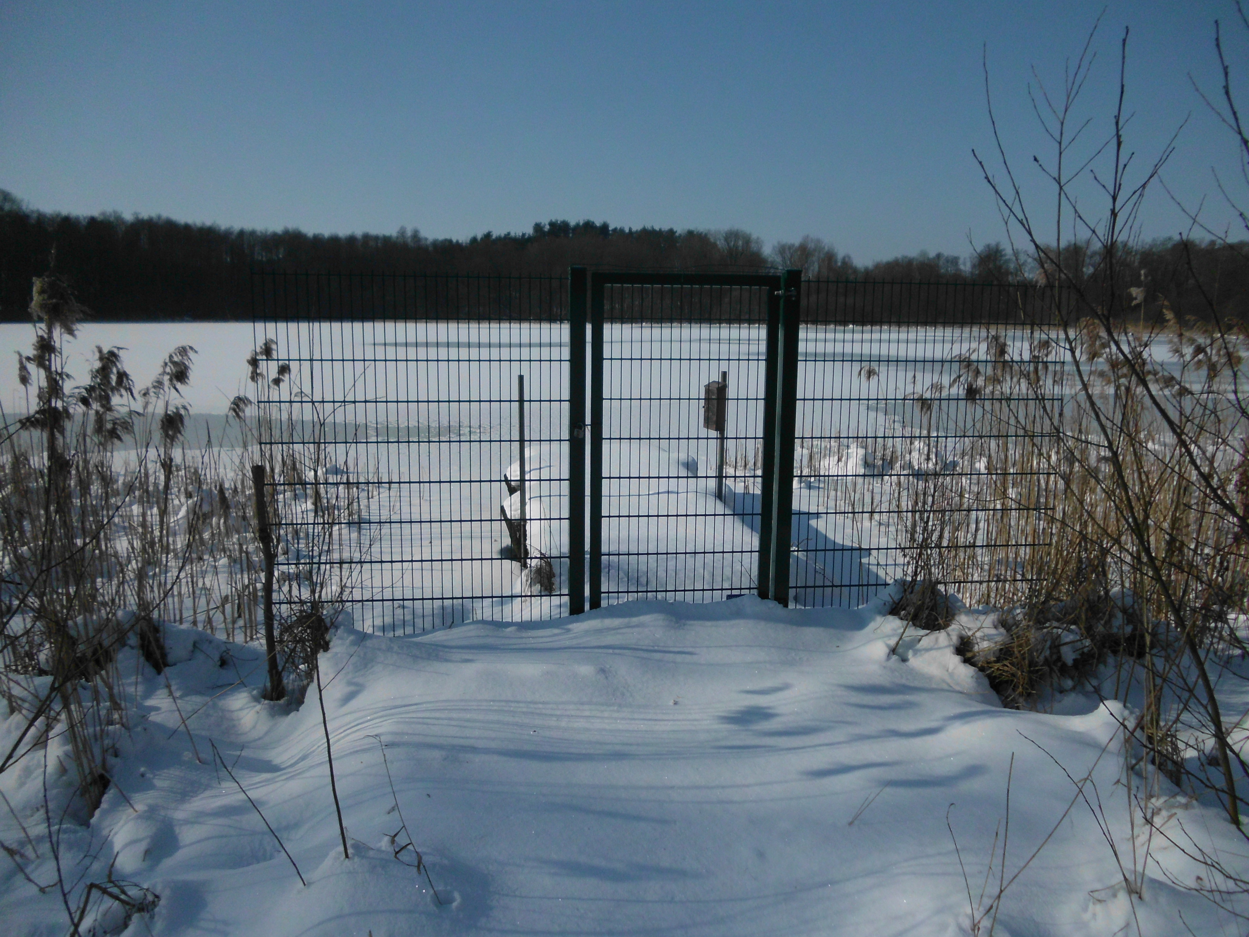 Einfriedung Lockwisch
